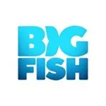 Big Fish Games discount code